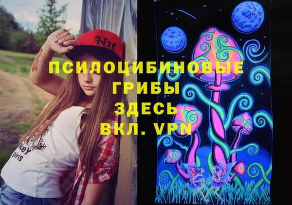 спиды Алзамай