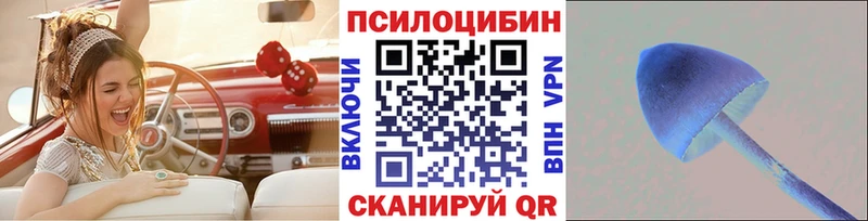 ссылка на мегу как войти Нижнеудинск Псилоцибиновые грибы Cubensis что такое наркотик